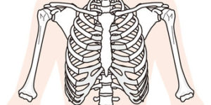 872a8dd979e6489422f0751c34e79ff3